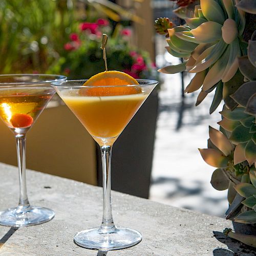 Two martini glasses with cocktails, one garnished with an orange slice and the other with a cherry, outdoors by some succulents.